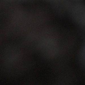 Meet your Posher, Lael